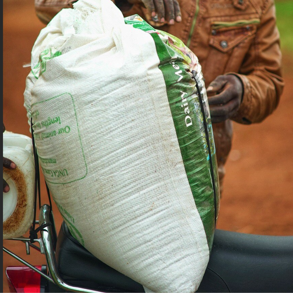 Dairy operation image 19