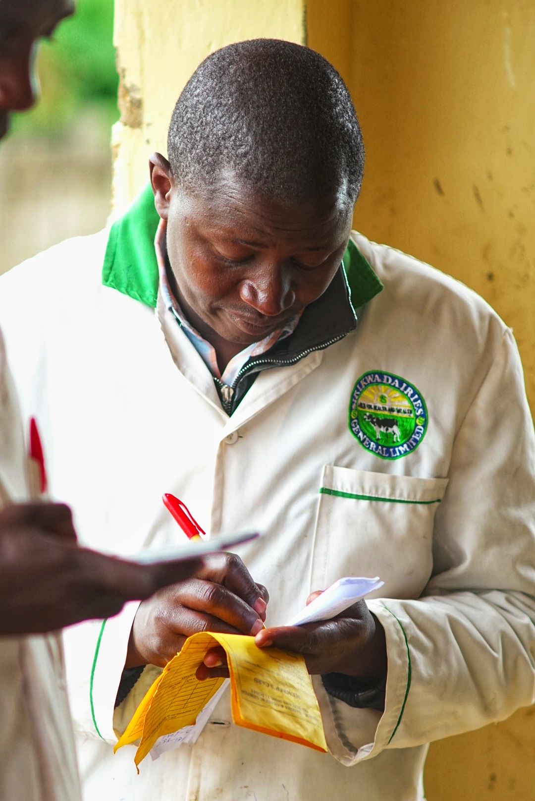 Dairy operation image 40