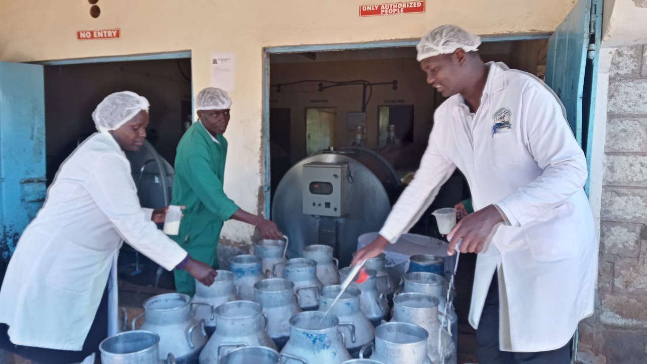 Sustainable Solutions