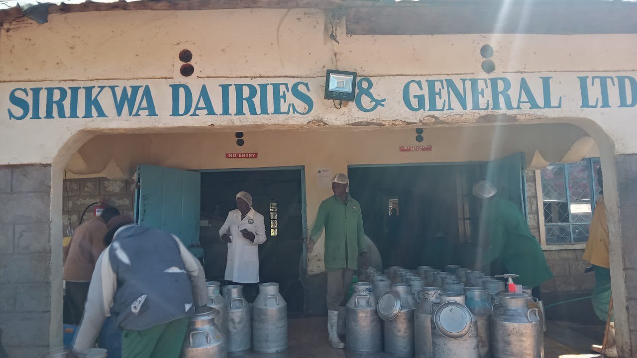 Dairy operation image 8