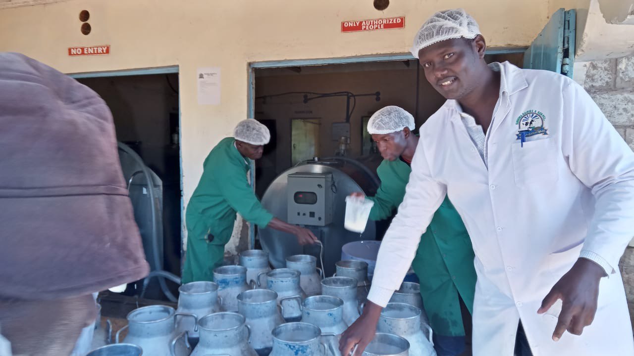 Dairy operation image 41