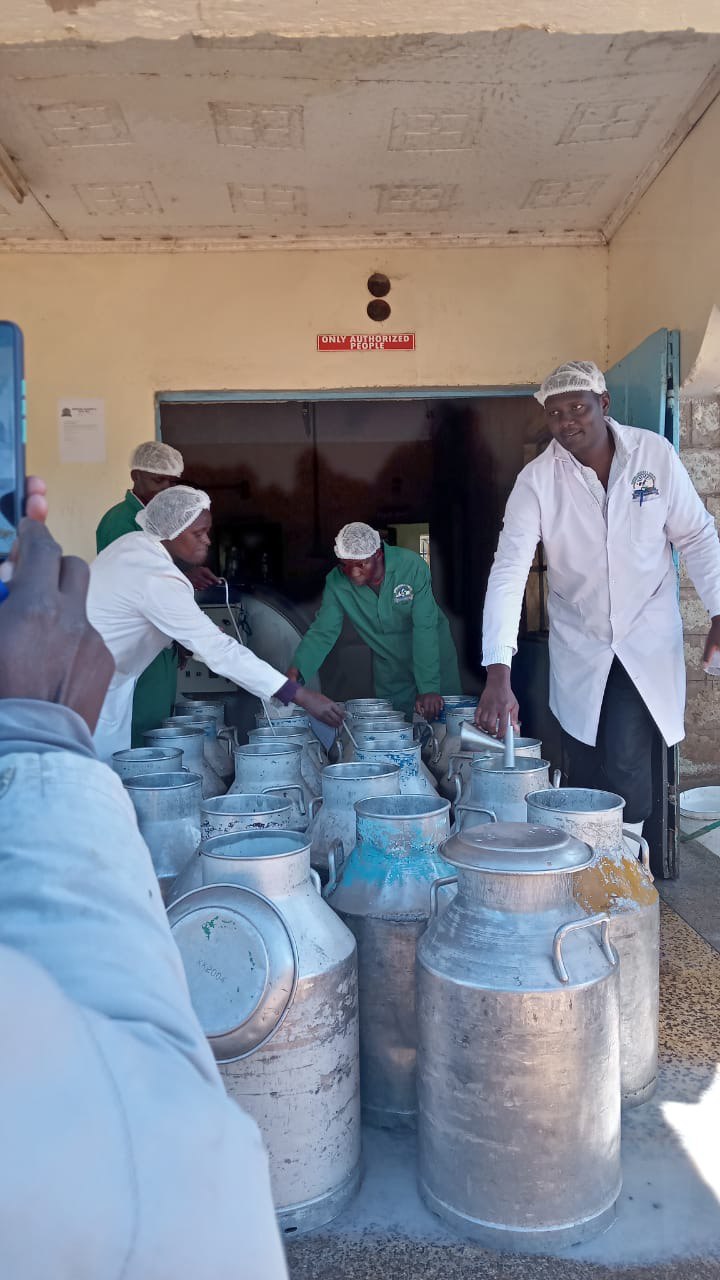 Dairy operation image 11