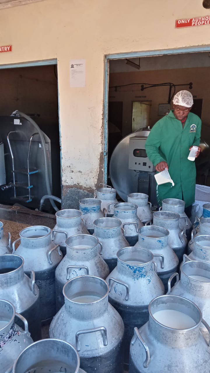 Dairy operation image 29