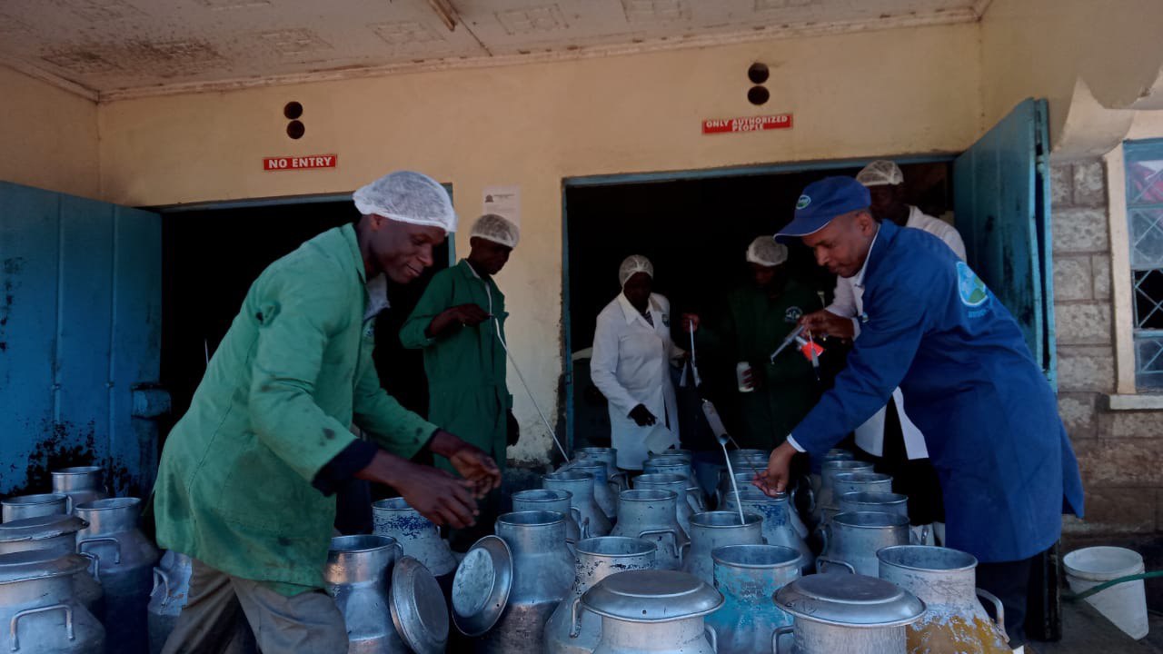 Dairy operation image 45