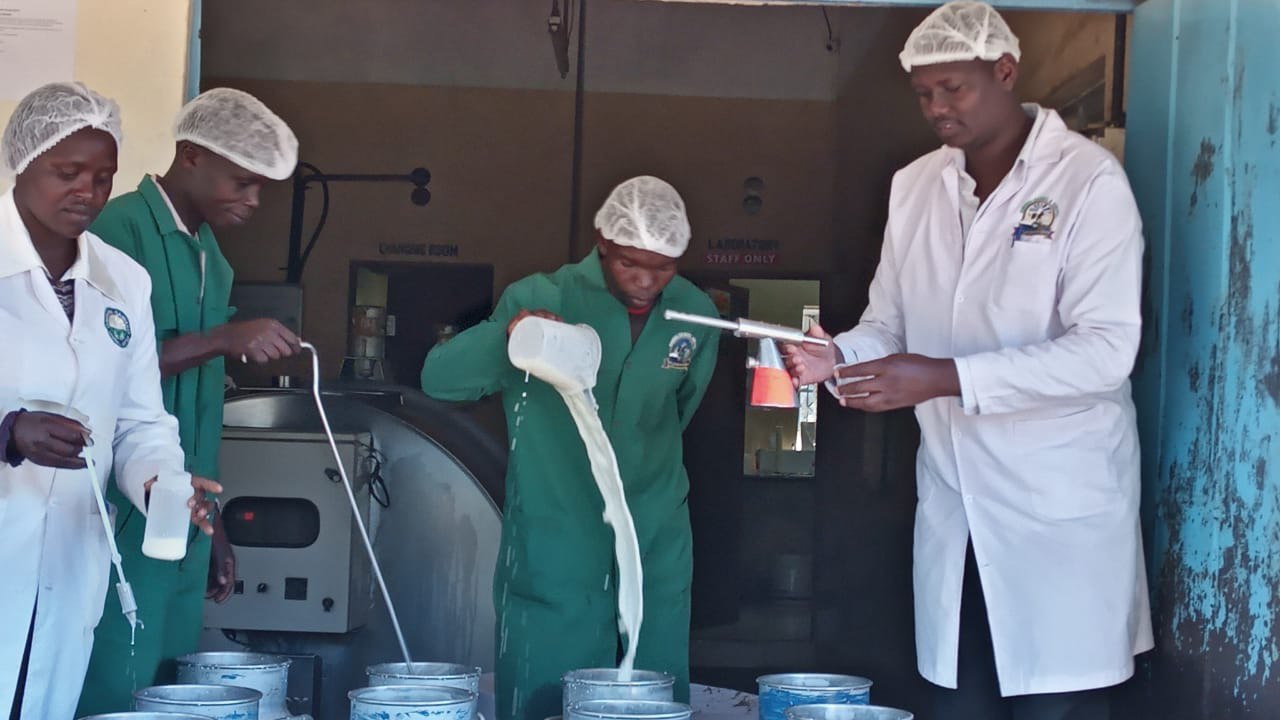 Dairy operation image 4