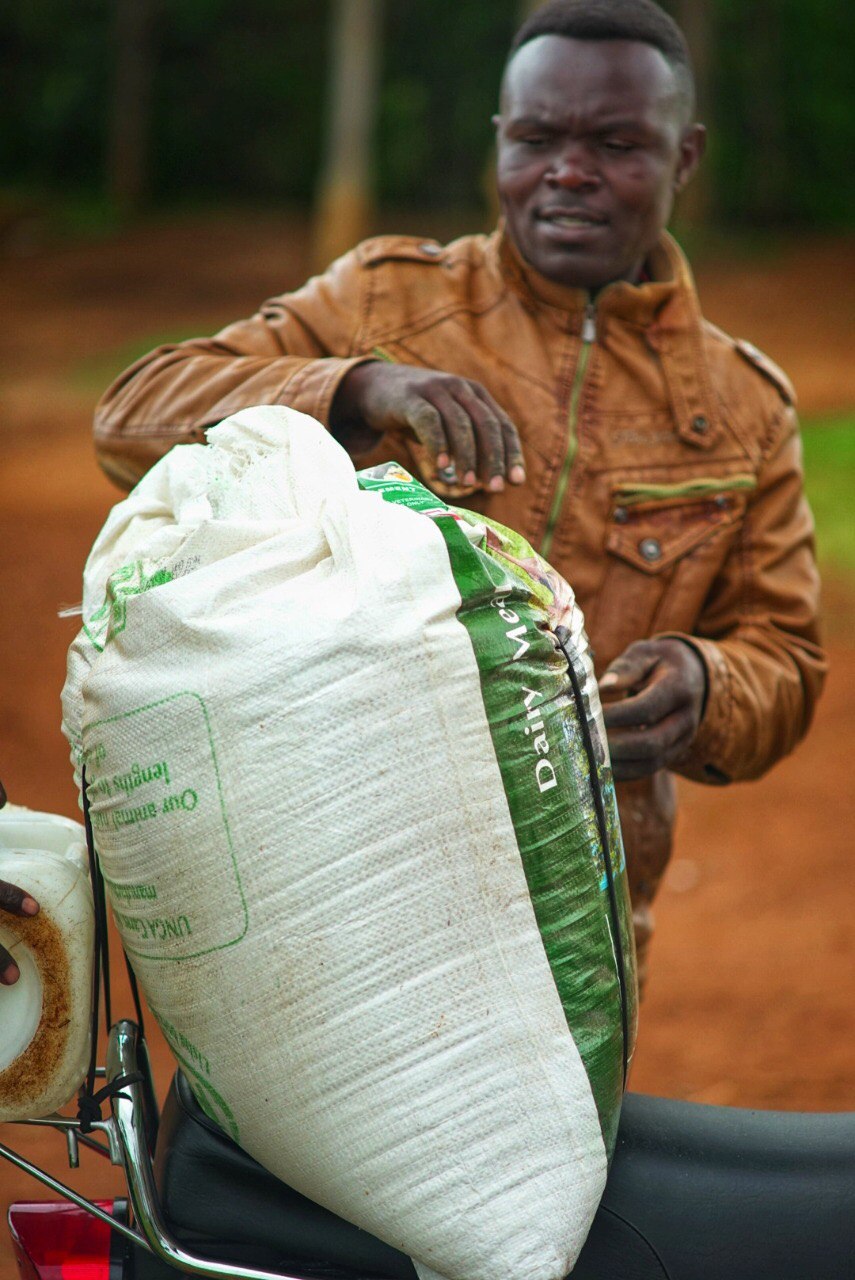 Dairy operation image 52