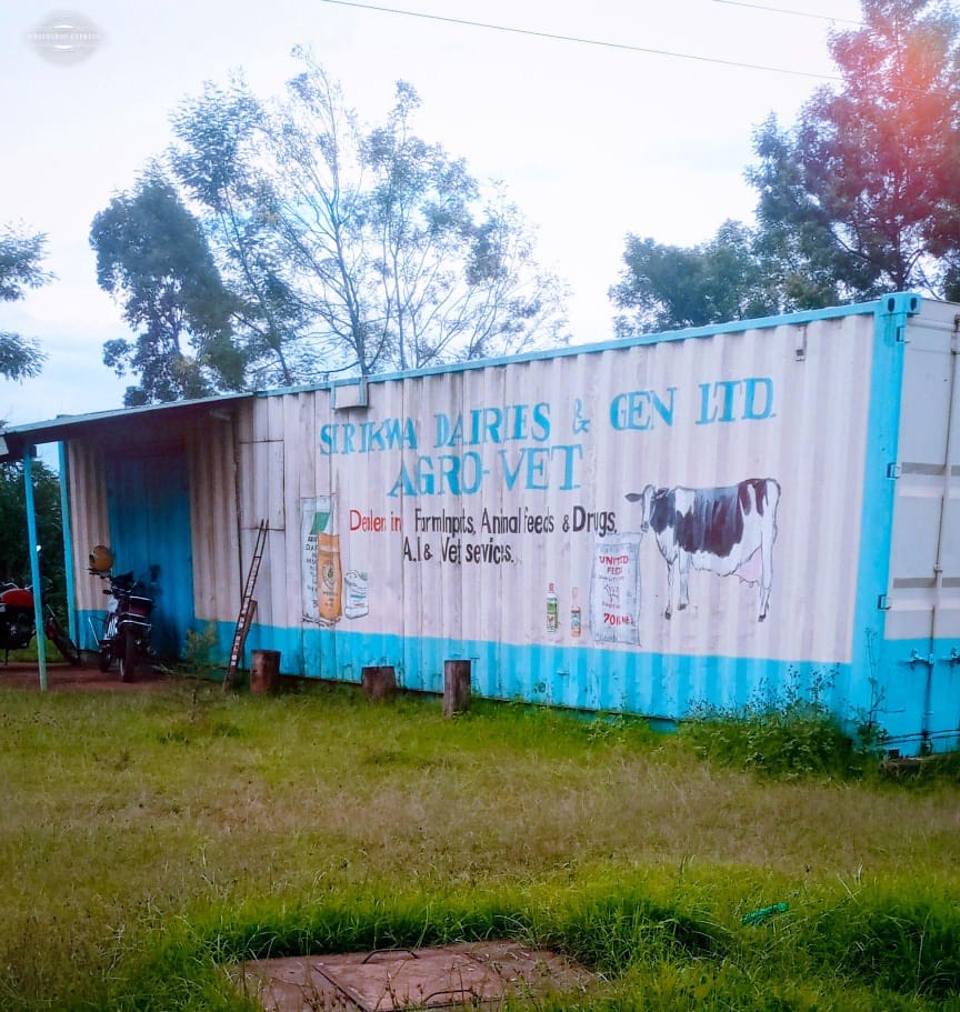 Dairy operation image 24