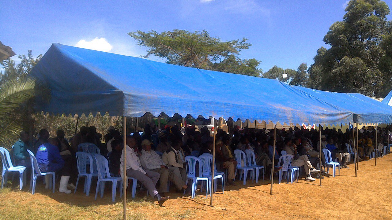 Dairy operation image 1