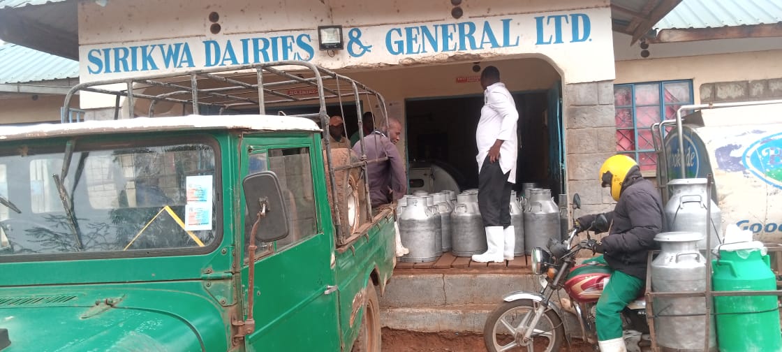 Dairy operation image 13