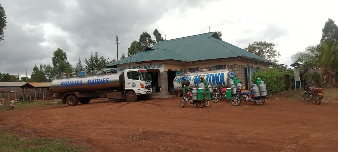 Dairy operation image 53